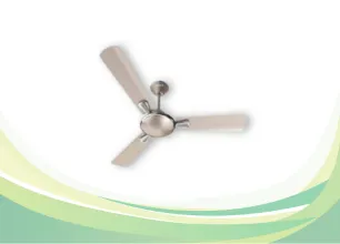 Ceiling Fans